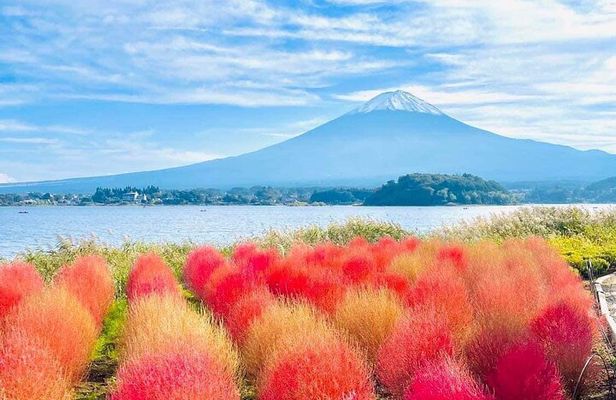 From Tokyo Mt. Fuji Customizable Day Tour With Luxury vehicle