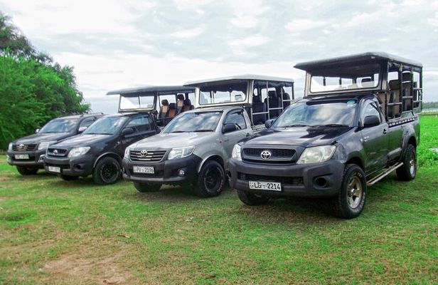 Yala National Park Tour from Hambantota Port Janaka Safari