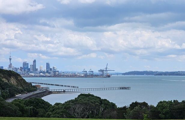 Auckland City Highlights Tour