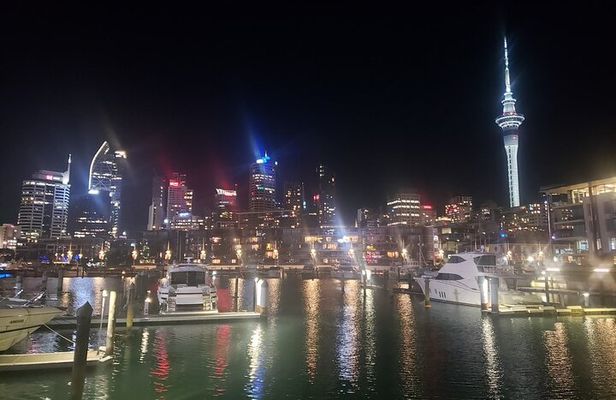 Auckland City Halfday Private Tour