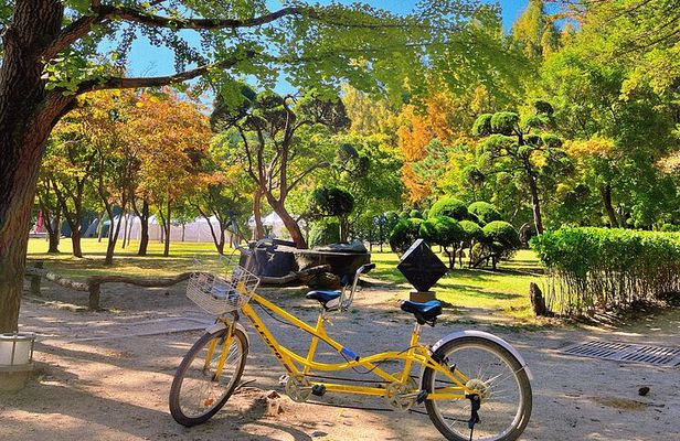 Nami Island, Apple Picking & The Alpaca Garden