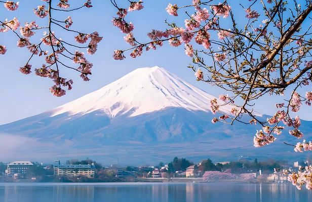 Tokyo Mt Fuji Trip with Kawaguchiko Ropeway and Matcha Tea