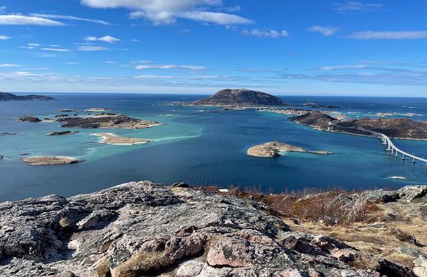 Tromso Midnight Sun Minibus: Fjords and wildlife