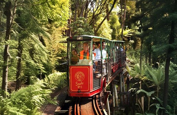 Coromandel Train Scenic Journey Through the Woods