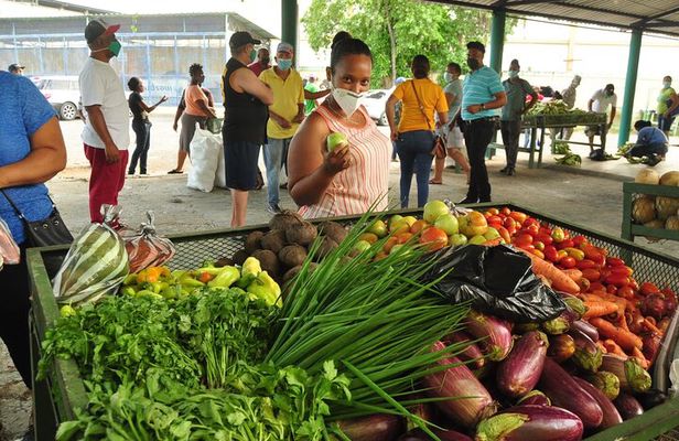 Higuey expedition cultural and historical tour from Punta Cana