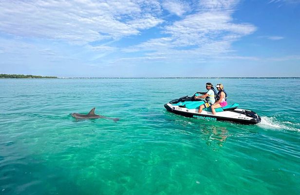 Guided Jet Ski Dolphin Tour - Destin, Florida