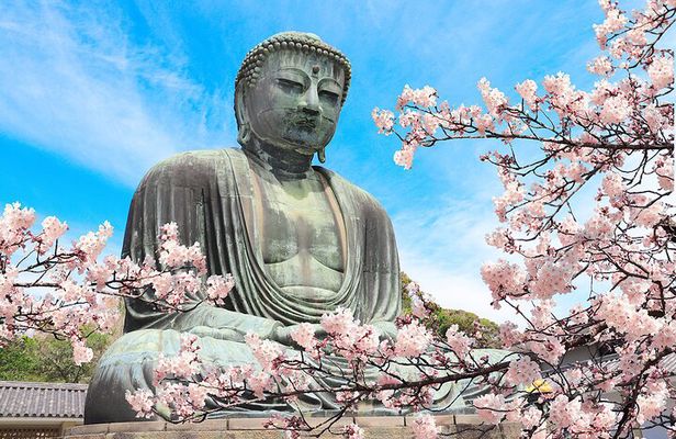 Kamakura Cherry Blossom Full Day Walking Tour with a Local Guide