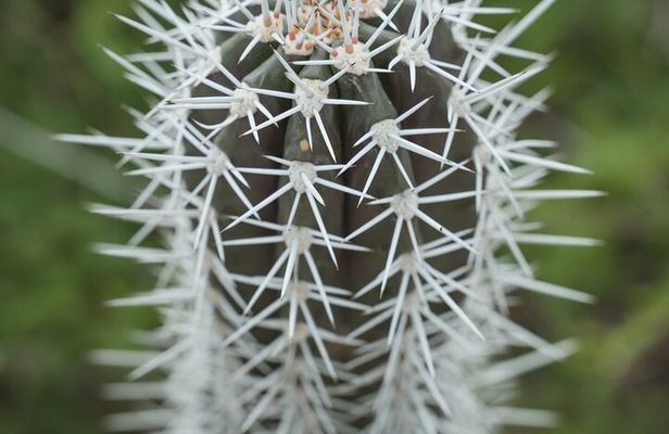 4 hour Individual Island Tour for 1 to 12 persons