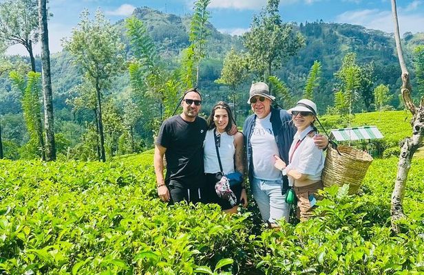 Nuwara eliya day tour from Kandy 