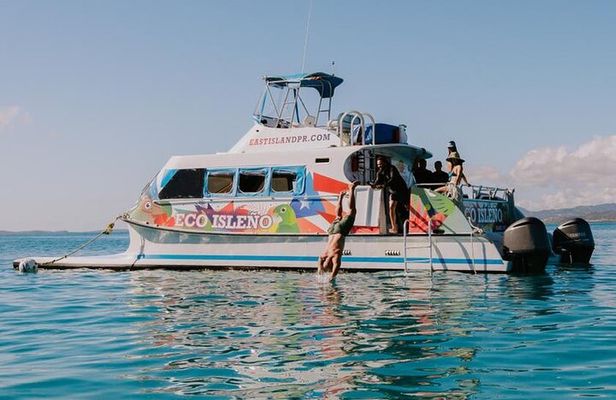 Half Day Icacos Island Tour without Transportation Service