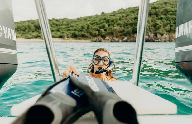 Private Half Day Eco Tour and Snorkeling Charter in the USVI