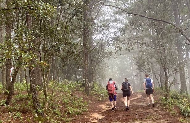 Dalat Pinhatt Peak Jungle Trek and Tuyen Lam Lake