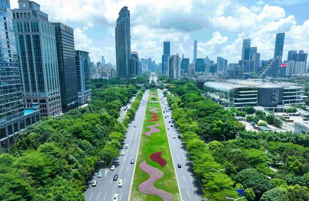 Shenzhen Private Guide Day Tour with Car Service