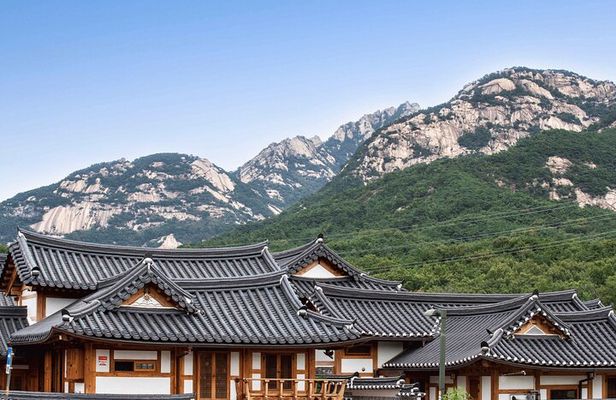 Seoul Cherry Blossom and Hanok Experience Private Car Tour 