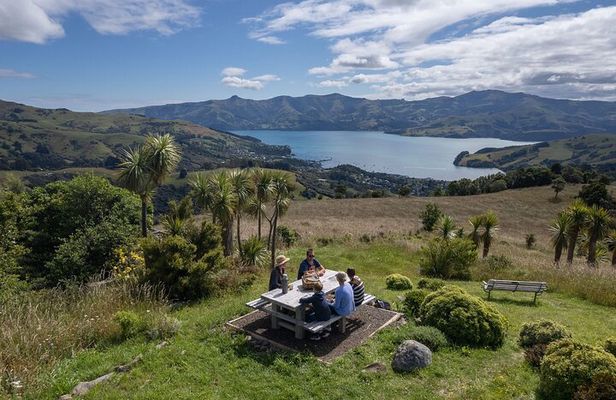 Akaroa Nature and History Tour - The 7th Generation