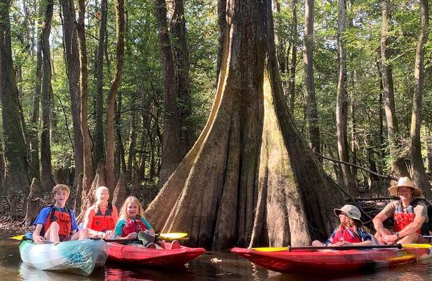 Guided Congaree National Park Kayak Tour