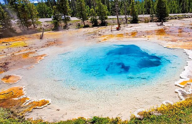 From Bozeman Yellowstone Full Day Tour Lower Loop