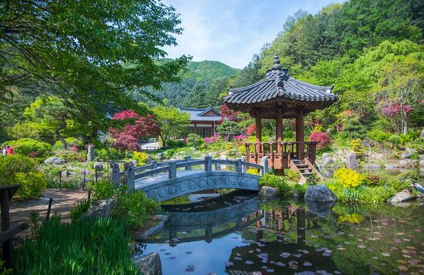 Trip to Nami Island with Petite France & Italian Village, Garden of Morning Calm