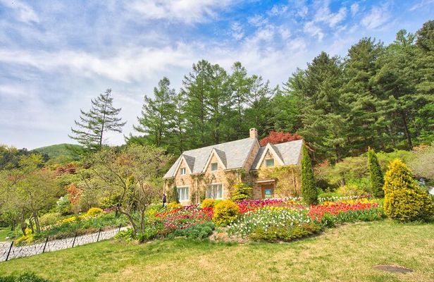 Day Trip to Nami Island with The Garden of Morning Calm
