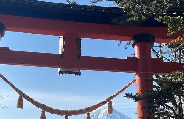 Private Luxury vellfire Tour Experience To Fuji And Hakone