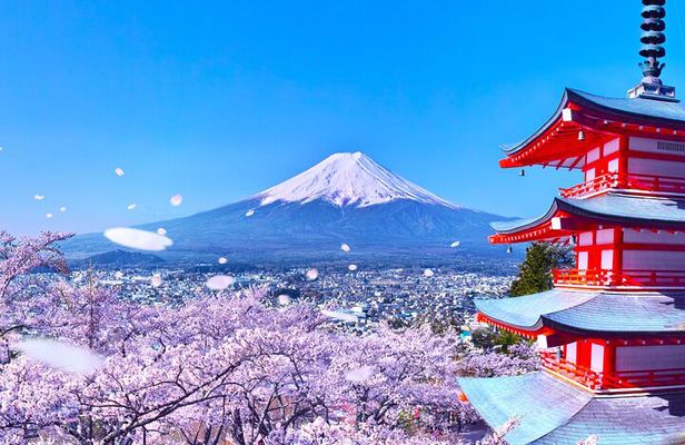 From Tokyo: Mount Fuji Sightseeing One Day Trip