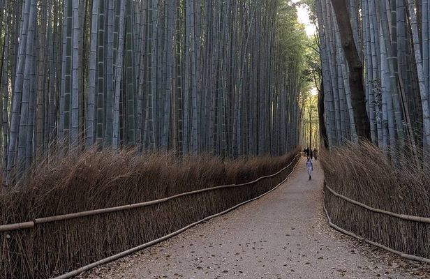 Zen Run in Arashiyama
