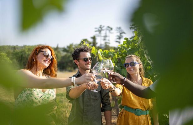 Provence Wine Tour - Small Group Tour from Cannes