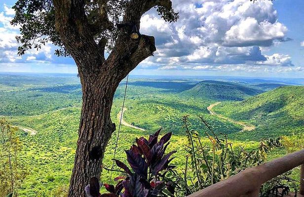 Shimba Hills National Reserve Day Tour with Sheldrick Falls