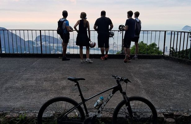 Rio Rainforest Ride An Unforgettable Mountain Bike Tour