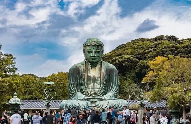 Kamakura Tour Great Buddha Enoshima & English Pro Guide & Driver