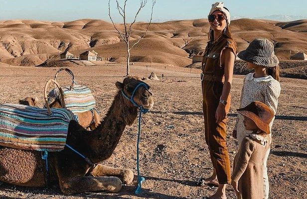 Marrakech: Camel Ride & Sunset & Dinner Under the Stars In Agafay
