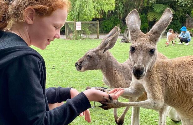 Bespoke Perth City and Surrounds Day Tour