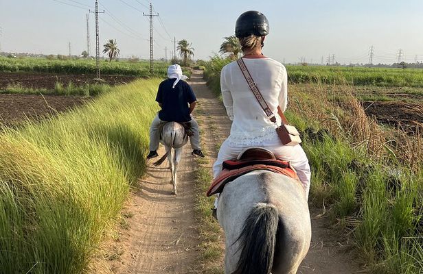 Private Horse ride Adventure in Luxor with professional guide