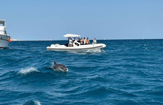 Private Speedboat – Snorkeling & Dolphin Watching & Abu Monkar