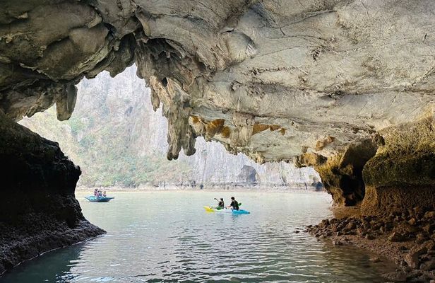 Private 1 Day Tour in Ha Long Bay with Private Cruise or Group