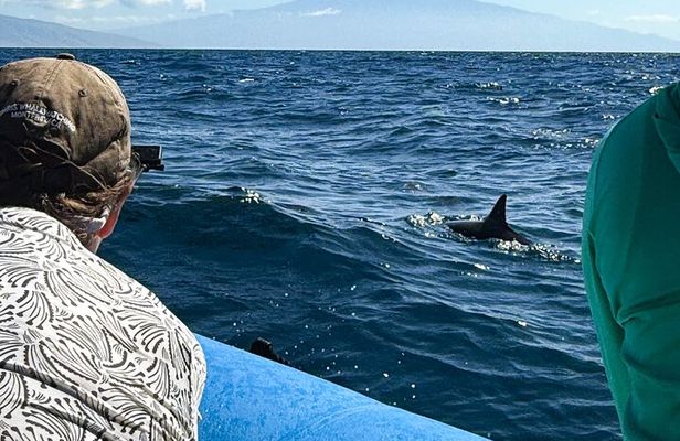 2 Hour Semi-Private Maui Dolphin Watch Sightsee Raft Tour