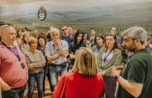 The Olive Oil Journey: Grove and Mill Visit