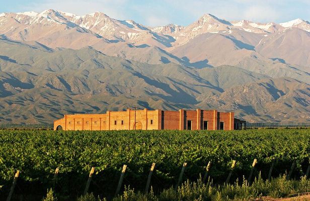 Shared Uco Valley Gourmet Wine Tour