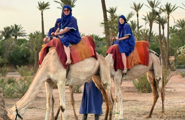 Camel Ride Through Palmeraie of Marrakech