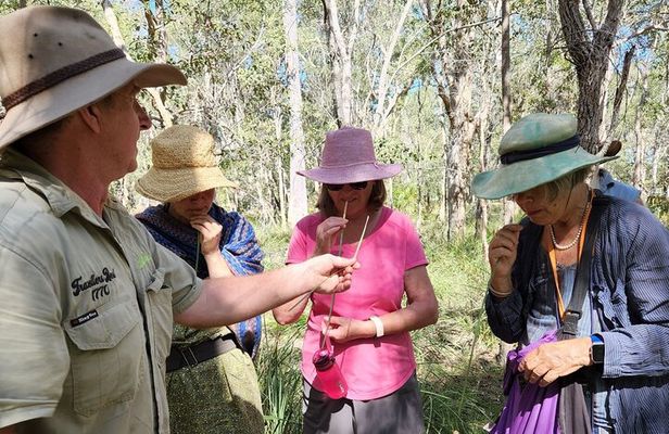Unique and Personal BushTracks Eco Tour in Agnes Water 1770