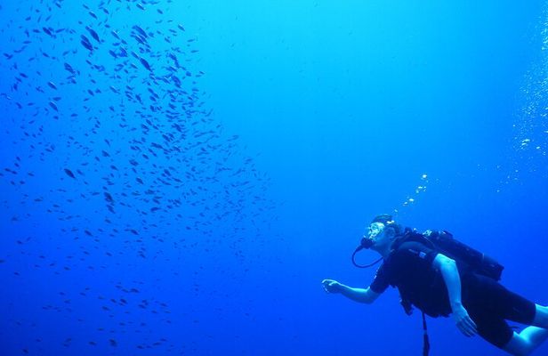 Achieve your PADI OPEN WATER DIVER certification.