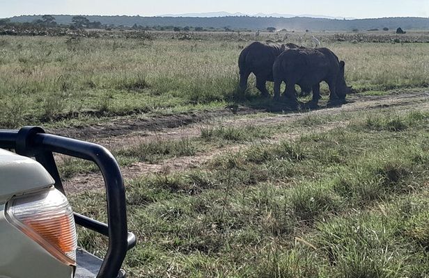 Nairobi National Park Giraffe Center Carnivore Lunch