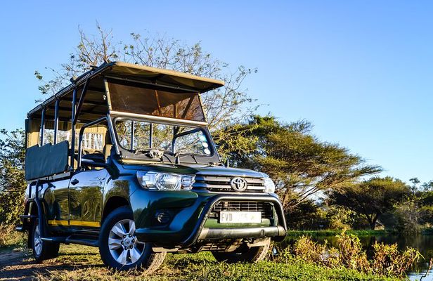 Kruger National Park Wildlife Safari with Private Guide