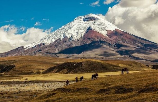 Adventure in Ecuador Volcano Cotopaxi