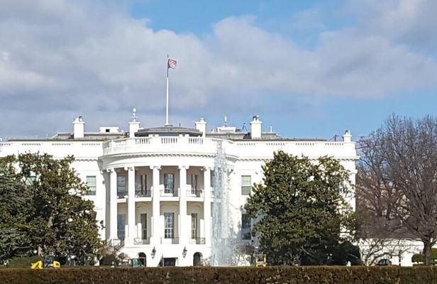 National Mall Tour with Cherry Blossom, Boat Cruise, & US Capitol