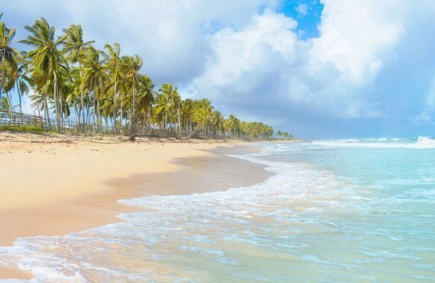 Saona Island Adventure From Santo Domingo