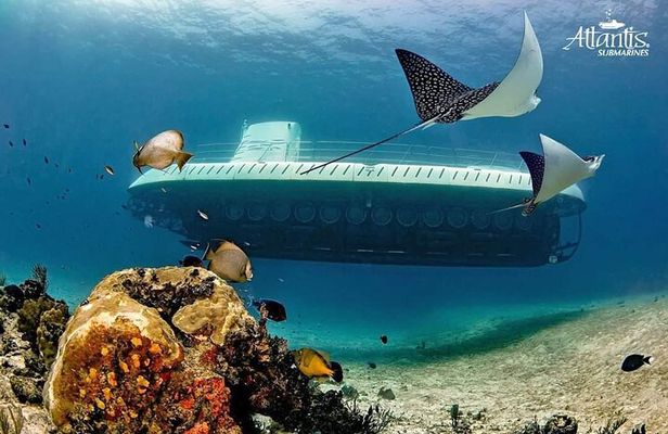 Cozumel Underwater Tour from Cancun