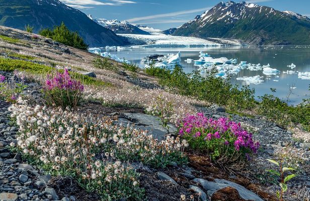 Seward Kenai Fjords Helicopter Tour with Landing