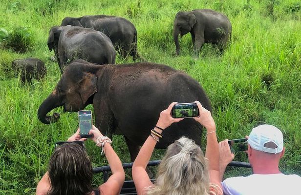 Sigiriya Rock, Village Tour and Wild Elephant Safari Sri Lanka