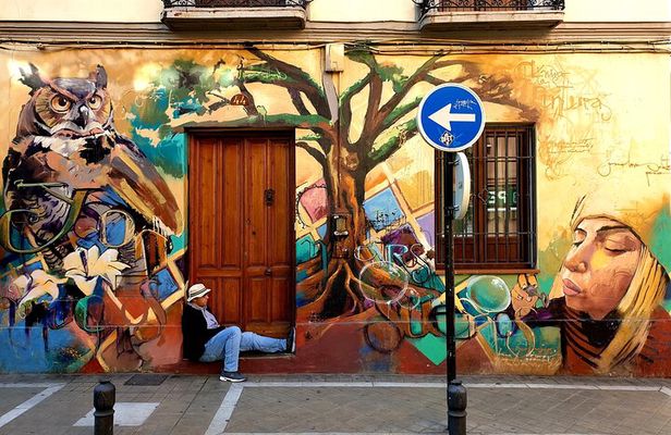 Granada: "Street Art & The Caves" Exceptional Guided Walking Tour